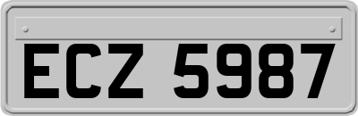ECZ5987