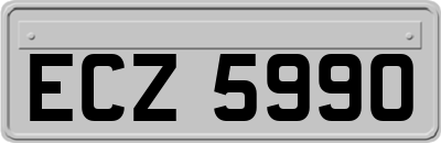 ECZ5990
