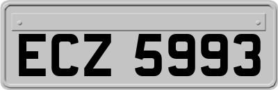 ECZ5993