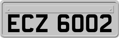 ECZ6002