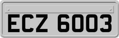 ECZ6003