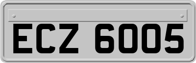 ECZ6005