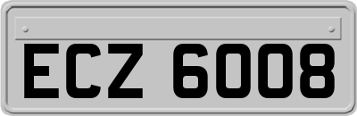 ECZ6008