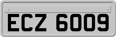 ECZ6009