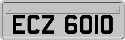 ECZ6010