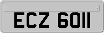 ECZ6011