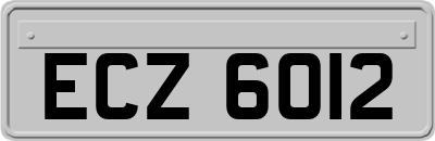 ECZ6012