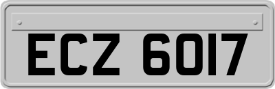ECZ6017