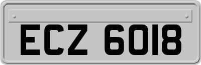 ECZ6018