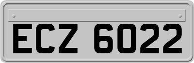 ECZ6022