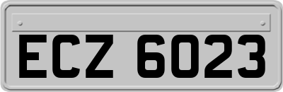 ECZ6023