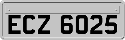 ECZ6025