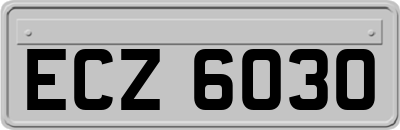 ECZ6030