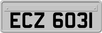 ECZ6031