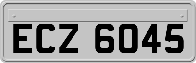 ECZ6045