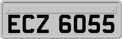 ECZ6055