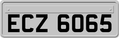 ECZ6065
