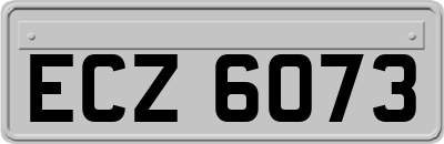 ECZ6073