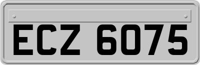 ECZ6075