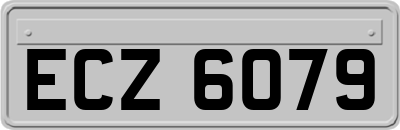 ECZ6079