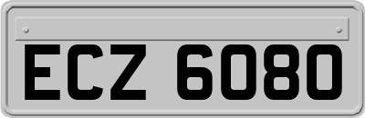 ECZ6080