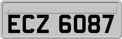 ECZ6087