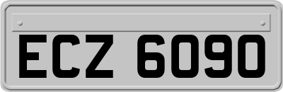 ECZ6090