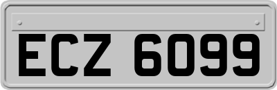 ECZ6099