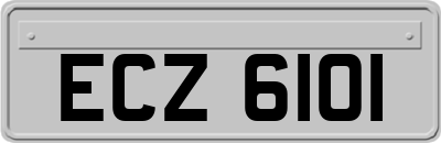 ECZ6101