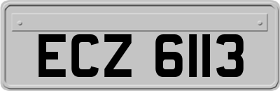 ECZ6113