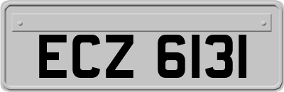 ECZ6131