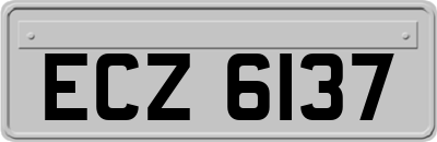 ECZ6137