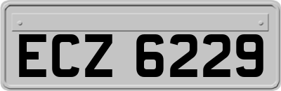 ECZ6229