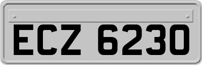 ECZ6230