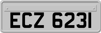 ECZ6231