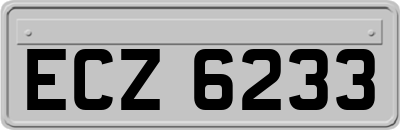 ECZ6233