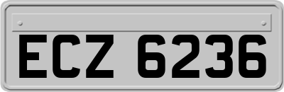 ECZ6236