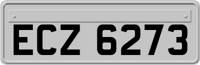 ECZ6273