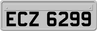 ECZ6299
