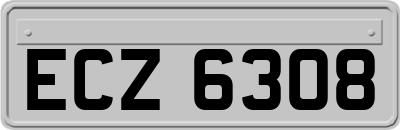 ECZ6308