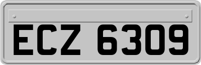 ECZ6309