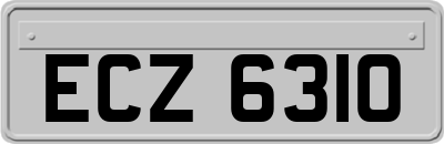 ECZ6310