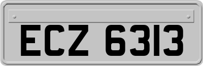 ECZ6313