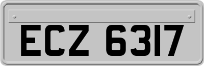ECZ6317