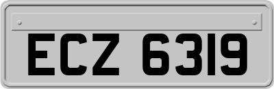 ECZ6319