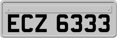 ECZ6333