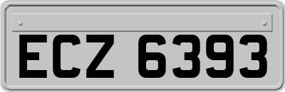 ECZ6393
