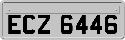 ECZ6446