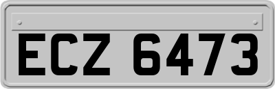 ECZ6473