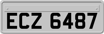 ECZ6487